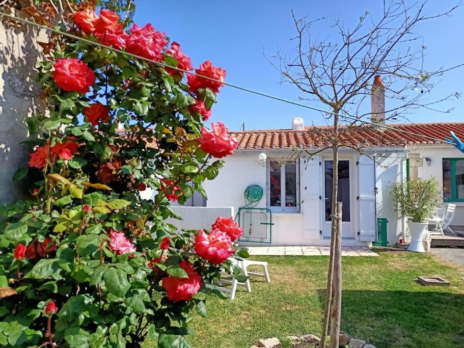 La Maison Du Marin Saint-Gilles-Croix-de-Vie Exterior foto